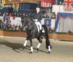 Escudo i x argentinus x bariton. Sandro Hit Oldenburger Hengst Rappe