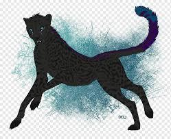 Puma close up portrait with beautiful eyes isolated on black background wall mural. Art Drawing Anime Lion Black Panther Anime Mammal Cat Like Mammal Carnivoran Png Pngwing