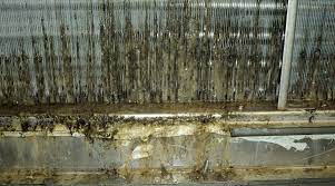 You'll find it housed inside the air handler near your furnace (or inside your ductwork if you only have ac). Cleaning Ac Coils The Proper Way Updated 2019 All Time Air Conditioning