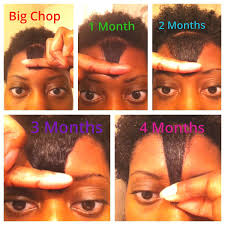4 Months Post Bc 1 2 Inch Per Month Right On Pace Hair Journey Growth Natural Hair Journey Growth Natural Black Hair Growth