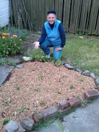 Plants that have loved wood chip mulch these 4 acorn squash plants, grown in a wood chip garden, produced over 50 squash. Using Wood Chips On Our Raised Garden Bed
