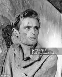 5,030 David Callum Photos & High Res Pictures