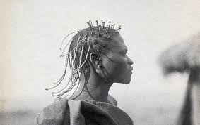 Image result for Vernonia congolensis