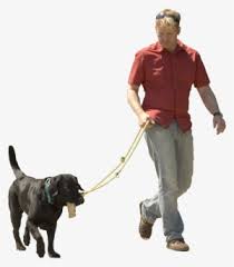 Here you can explore hq dog walking transparent illustrations, icons and clipart with filter setting like size, type, color etc. Walk Dog Cartoon Transparent Transparent Png 393x652 Free Download On Nicepng
