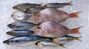 Fish are part of a healthy eating pattern and provide: Is Eating Fish Healthy Bbc Future