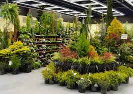 Danger Garden I Almost Forgot I Bought Some Plants Garden Center Displays Plants Garden Center