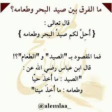 ما الفرق بين صيد البحر وطعامه Islamic Quotes Quran Tafseer Quotes