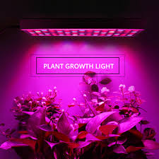 Check spelling or type a new query. Full Spectrum Panel Led Grow Light Phyto Lamp Ac85 265v 25w Greenhouse Hydro Grow Lamp For Aquarium Indoor Plants Flower Growth Mega Promo 6e44 Goteborgsaventyrscenter