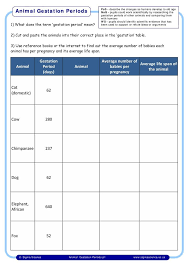 Animal Gestation Periods Stem
