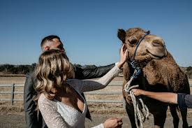 Ashley states it is used for tying up camels. Summer Land Camels Scenic Rim Bride