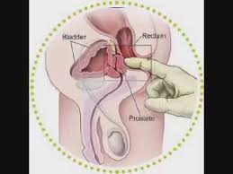Pleasure spots is an essay published in 1946 by the english author george orwell. How To Reach Mans G Spot With Pleasure Youtube