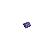 This item ships out ground. Personalized Custom Printed Vinyl Flags