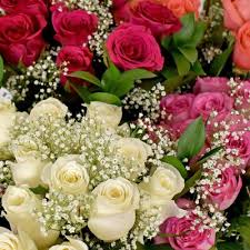 Maybe you would like to learn more about one of these? Wholesale Diy Flowers Floral Supplies Blooms By The Box