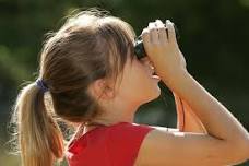 Young Birders Walk