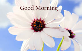 Because, when good things enter in our brain,then we think positive and it effects our work. Good Morning Images Greetings Good Morning With Wishes 1600x1000 Download Hd Wallpaper Wallpapertip