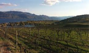 Travel trailers, 5th wheels, class a, class b, class c, toy haulers and more! The 10 Best Hotels Places To Stay In West Kelowna Canada West Kelowna Hotels