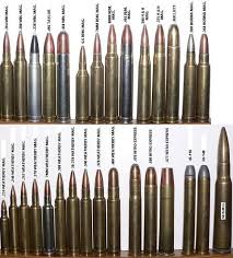 Bite The Bullet Ammo Coupon Pin On Bullet