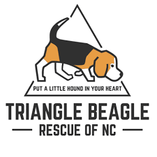 We did not find results for: Home Triangle Beagle Rescue