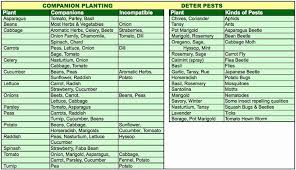 30 Companion Planting Chart For Vegetables Tate Publishing