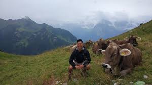 These free photos are cc0 licensed, so you can use them in both your personal or. 2018 Joseph Choy In Stoos Switzerland Credit J Choy Current Engineering Undergraduates