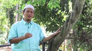 Untuk kesehatan, mengkonsumsi kayu manis dapat kamu rebus dan meminum air rebusannya dengan menambah sedikit madu. Pokok Kulit Kayu Manis Youtube