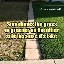 The Grass Is Always Greener On The Other Side Of The Fence Sometimes Grass Is Greener On The Other Side Because Its Fake Funny Quotes Inspirational Quotes Life