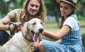Here are a few tips for helping your new friend settle in more quickly. Adopting A Rescue Dog Bringing It Home The First 24 Hours