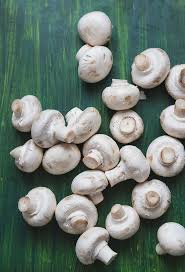 Indoor gourmet mushroom growing kits Types Of Mushrooms In India Mushroom Varieties India Gardening
