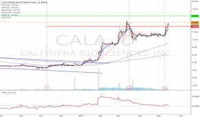 Cala Stock Price And Chart Nasdaq Cala Tradingview