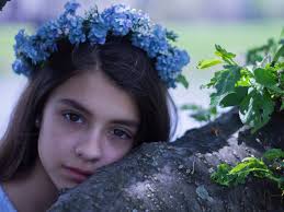 Holly Crowder Photography