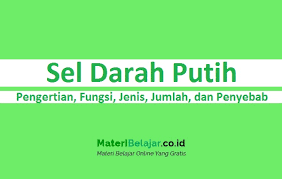 Monosit, yang sebagian besar memerangi infeksi jamur. Sel Darah Putih Pengertian Fungsi Jenis Jumlah Dan Penyebab