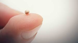 Mustard seed of faith and bible text mustard seed on a bible. The Power Of Mustard Seed Faith Idisciple