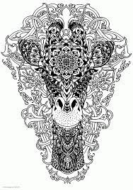 Amongst many exciting advantages, it will develop motor skills, teach your child to focus, and help him/her to recognize colors. Giraffe Animal Coloring Pages For Adults