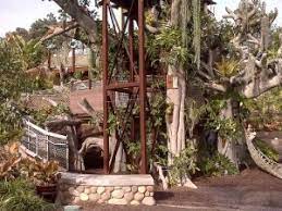 Kids Treehouse San Diego Botanical Garden In Encinitas Ca Garden Arch Botanical Gardens Garden