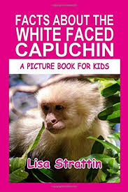 Get hold of these colouring sheets that are full of monkey pictures and offer them to your kid. Facts About The White Faced Capuchin A Picture Book For Kids Strattin Lisa 9798608353635 Amazon Com Books