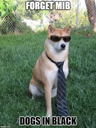 Business Doge Imgflip Funny Friend Memes Friendship Memes Funny Funny Boyfriend Memes