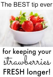 How To Keep Strawberries Fresh With One Easy To Do Tip Recipes Food Cooking Recipes