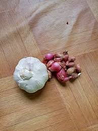 Bawang putih dan madu dicampur dijadikan satu khasiatnya berlipat ganda; Bawang Merah Bawang Putih Wikipedia Bahasa Indonesia Ensiklopedia Bebas