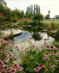 Alka Pool Pond Backyard Water Feature Pond Landscaping Ponds Backyard