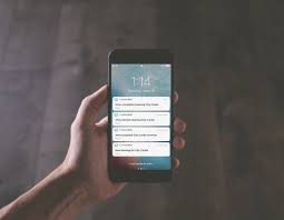 All of these cleaning companies have their own app, from where you can easily book and customize all of the cleaning services you need for your vacation their website has even a dedicated section for airbnb cleaning, which shows the specific booking process and cleaning scheduling for owners. 8 Features To Look For In A Vacation Rental Cleaning App Turnoverbnb