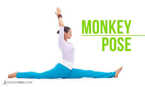 How To Do Hanumanasana Or Monkey Pose Monkey Pose Poses Yoga Poses