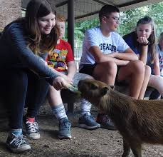 A bearded dragon is exotic in the uk yet in australia, they are native so commonplace. Janda Exotics Animal Ranch Exotic Pets And Animal Encounters Kingsbury