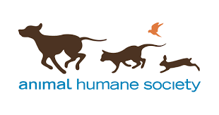 After euthanasia your pet is transported to a licensed crematorium where he/she is cremated individually. End Of Life Services Animal Humane Society
