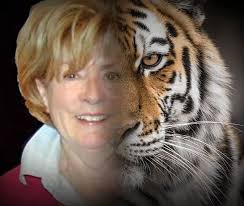 How to help a hummingbird in distress?