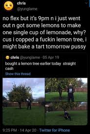 Pin By Jeannie Almonte On The Gift Of Giving In 2020 Lemon Tree Just Go My Cop