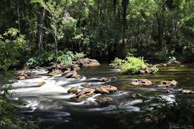 Check spelling or type a new query. Hillsborough River State Park Florida Rv Trade Associationflorida Rv Trade Association