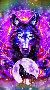 75 cool wolf backgrounds images in full hd, 2k and 4k sizes. Purple Wolf Wallpaper For Computer Novocom Top