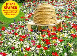 Die wahl für die richtigen blumen im garten fällt schwer. Pflanzen Online Kaufen Pflanzen Und Gartenversand Baldur Garten