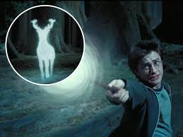 Find out what your patronus is with our patronus quiz! All The Known Patronus Shapes For Harry Potter Characters