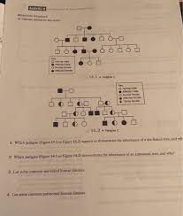 These chapters provide a foundation for the further study of the body. Activity 2 Inheritance Of Sex Linked Traits Materials Chegg Com